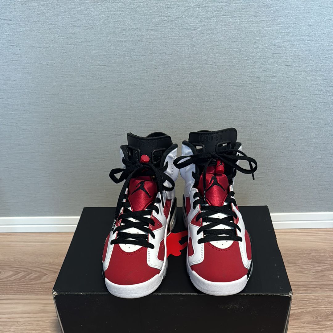 Nike Air Jordan 6 "Carmine" (2021)