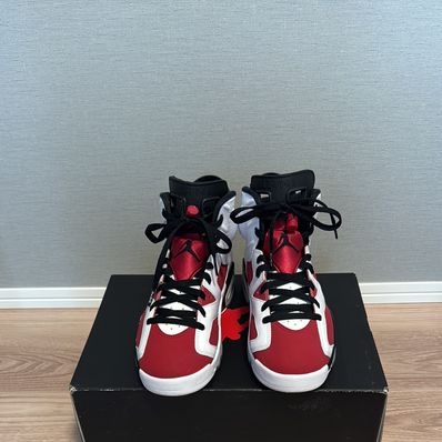 Nike Air Jordan 6 "Carmine" (2021)