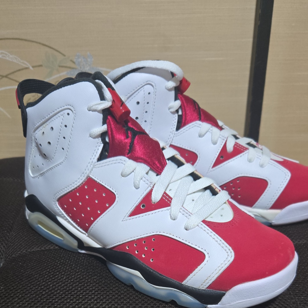 Nike Air Jordan 6 GS "Carmine" (2021)