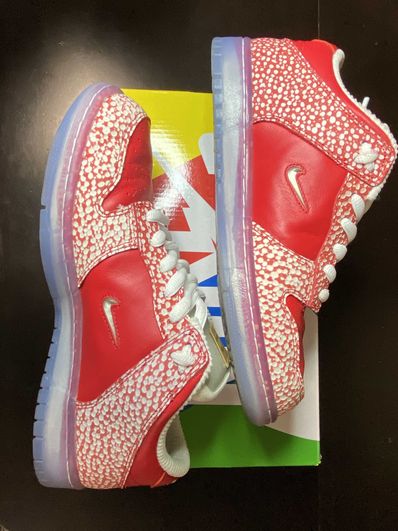 Stingwater × Nike SB Dunk Low "Magic Mushroom"