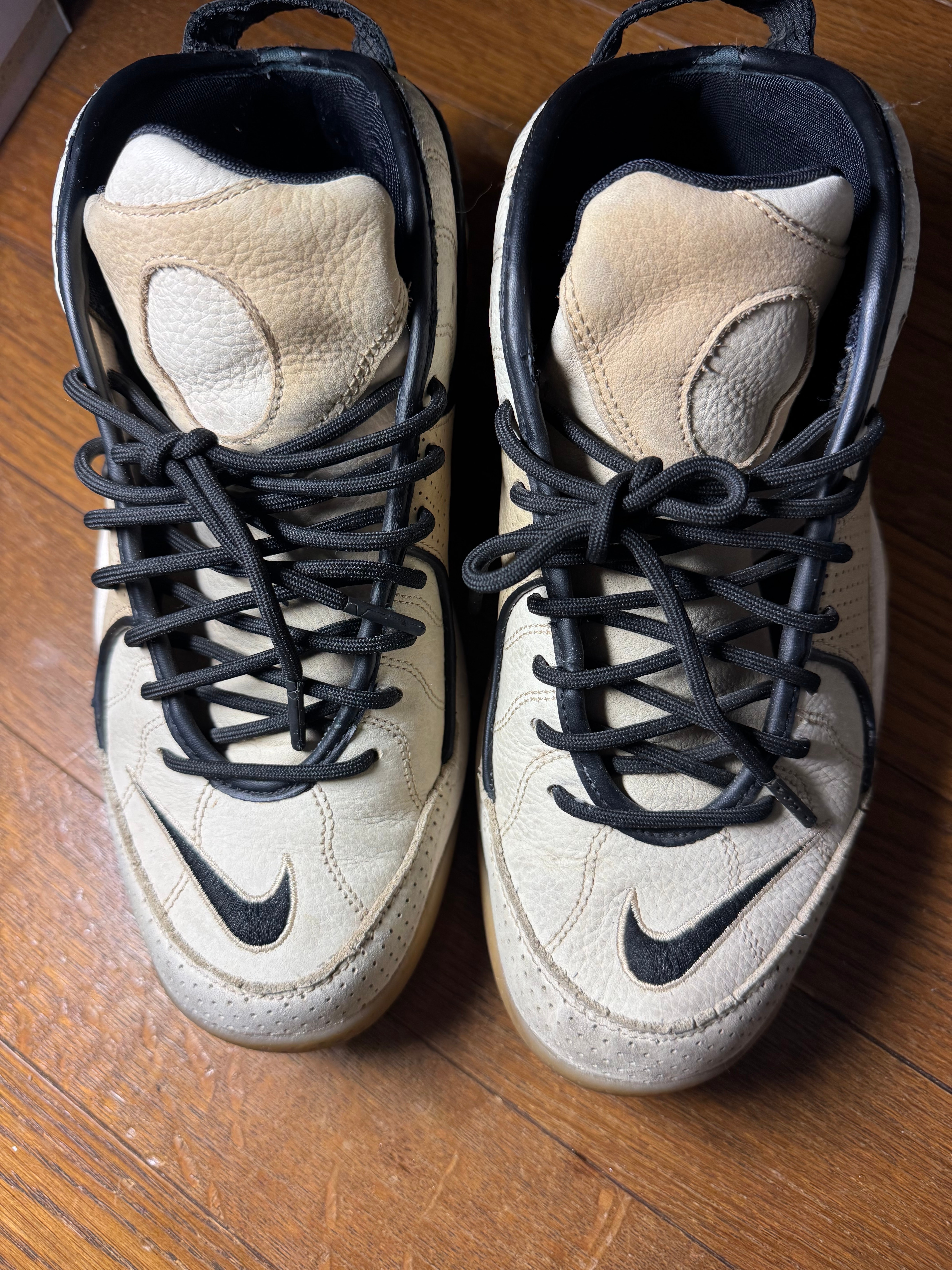 Nike Air Zoom Flight 95 "Black/Mushroom"