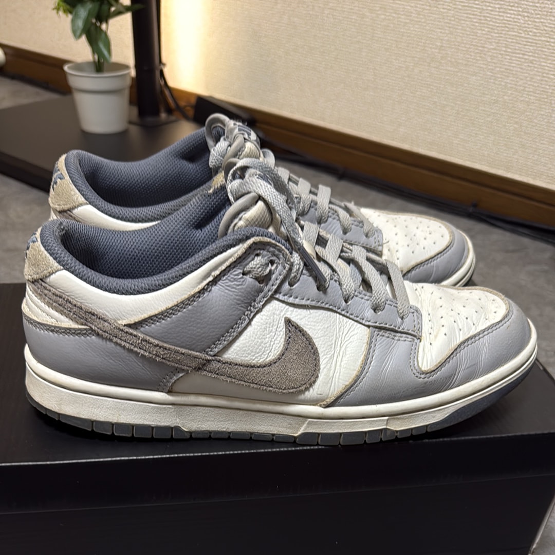 Nike Dunk Low Retro PRM "Light Carbon"