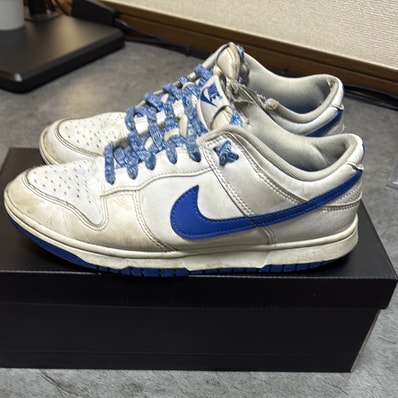 Nike Dunk Low Retro "Hyper Royal"
