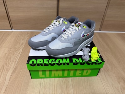Division Street × Nike Air Max 1 Ducks of a Feather "Tokyo" (300 pairs)