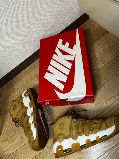 NIKE AIR MORE UPTEMPO 96 "PREMIUM FLAX"
