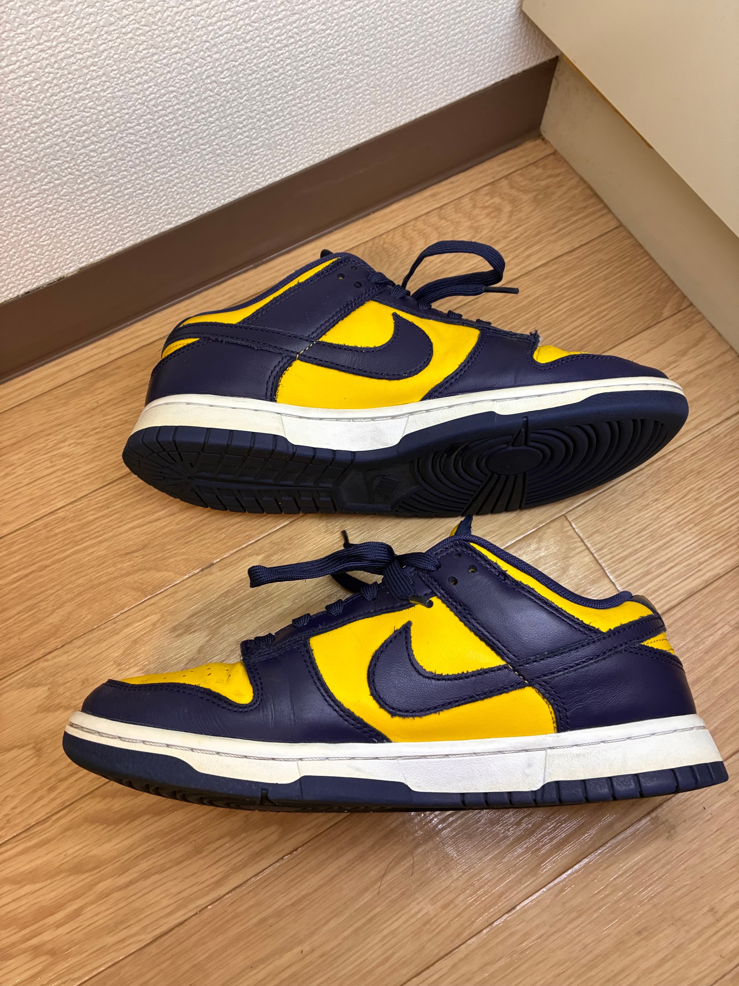 Nike Dunk Low "Michigan"