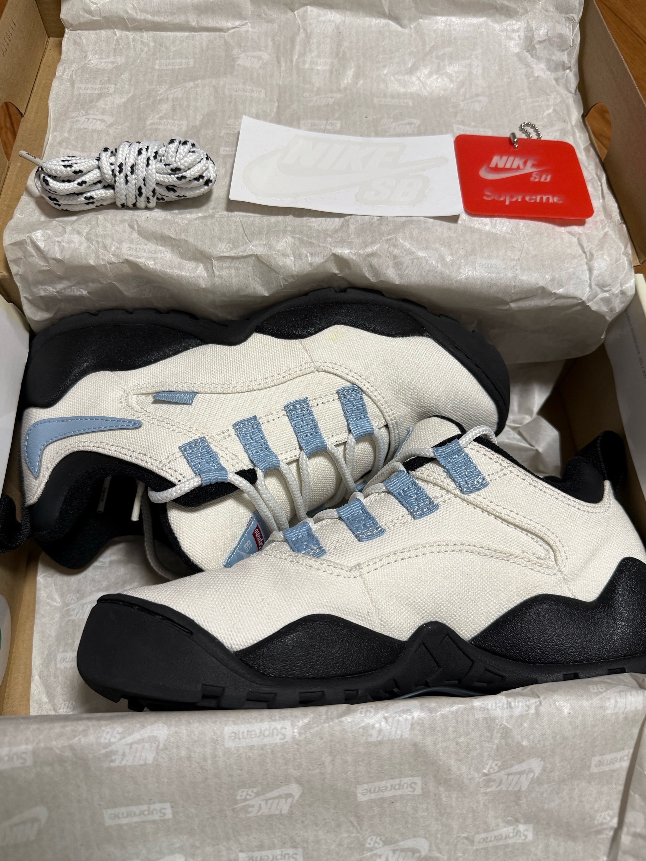 シュプリーム × ナイキ SB ダーウィン ロー "ホワイト"