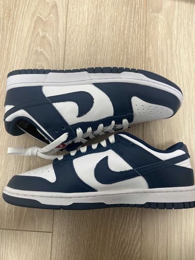 Nike Dunk Low "Valerian Blue"