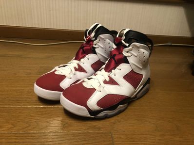 Nike Air Jordan 6 "Carmine" (2021)