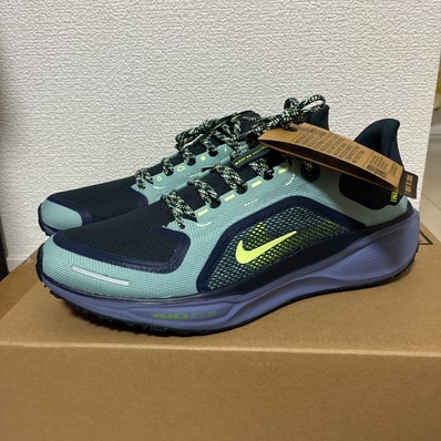 Nike Pegasus 41 GORE-TEX "Cannon/Obsidian/Seaweed/Volt"
