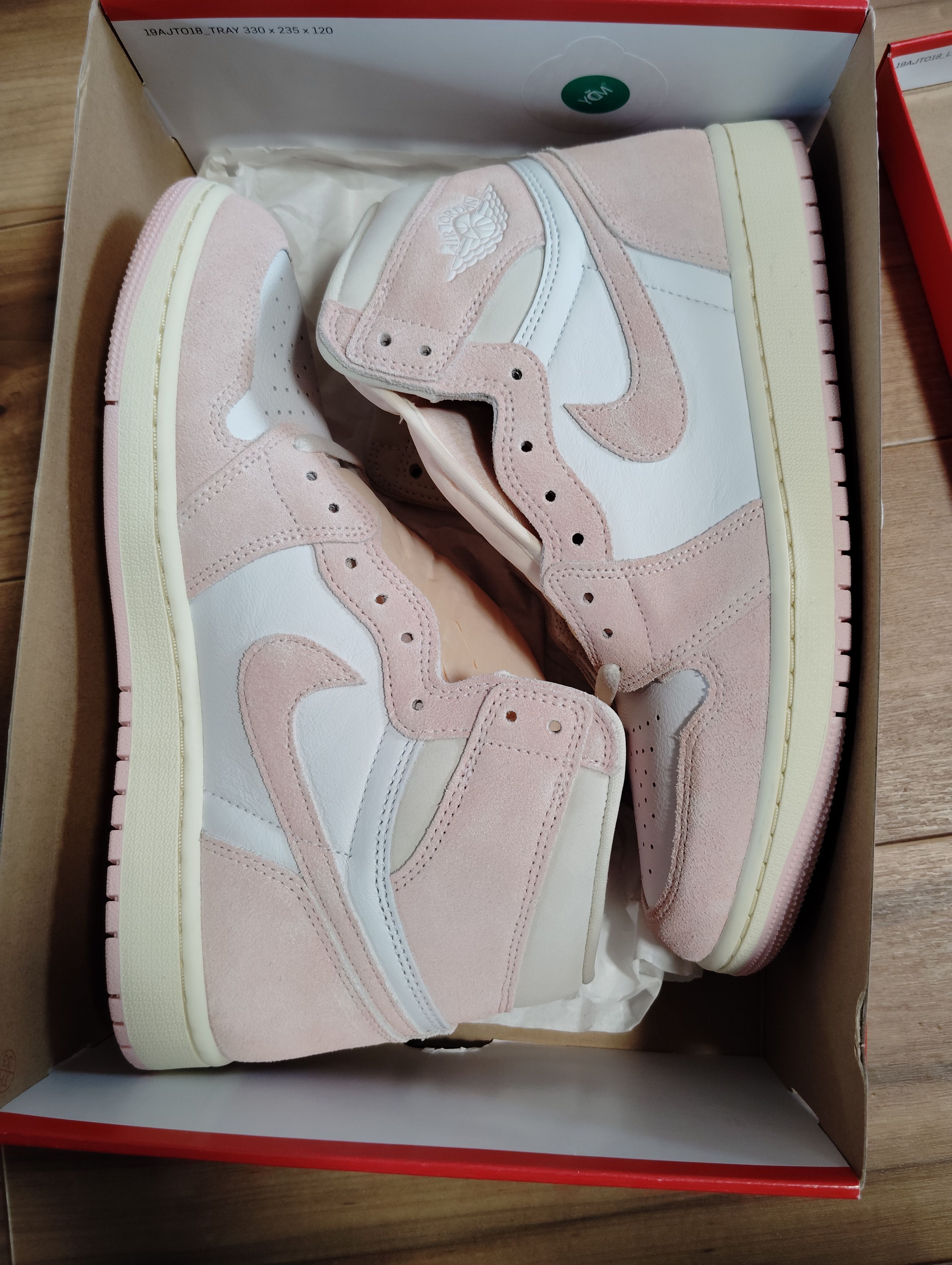 Nike Women's Air Jordan 1 Retro High OG "Washed Pink"