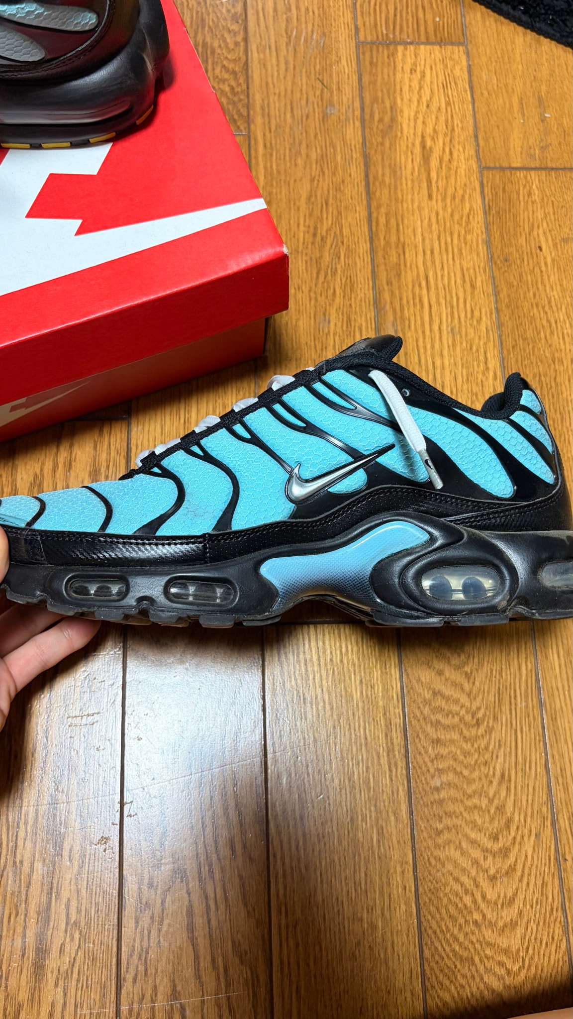 Nike Air Max Plus "Aqua/Black/White/Metallic Silver"
