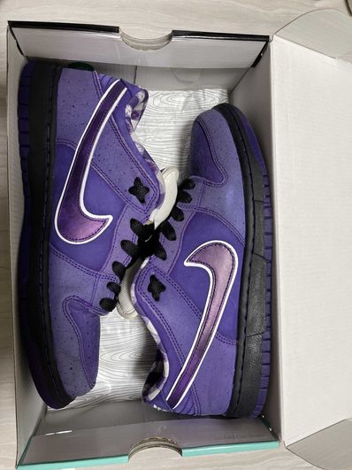 Concepts × Nike SB Dunk Low "Purple Lobster"