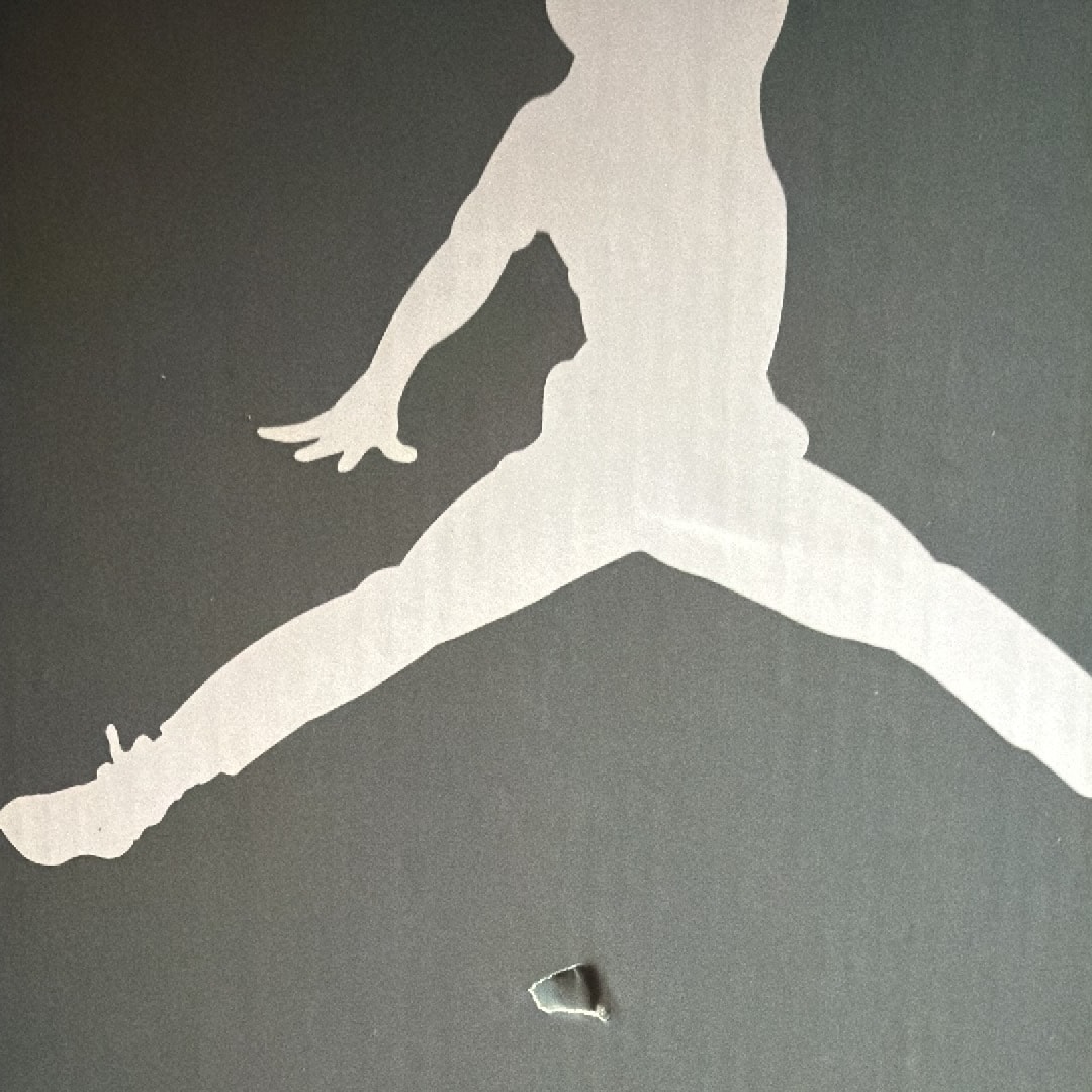 Nike  Air Jordan 6 "Cool Grey"