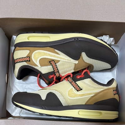 Travis Scott × Nike Air Max 1 "CACT.US Brown"