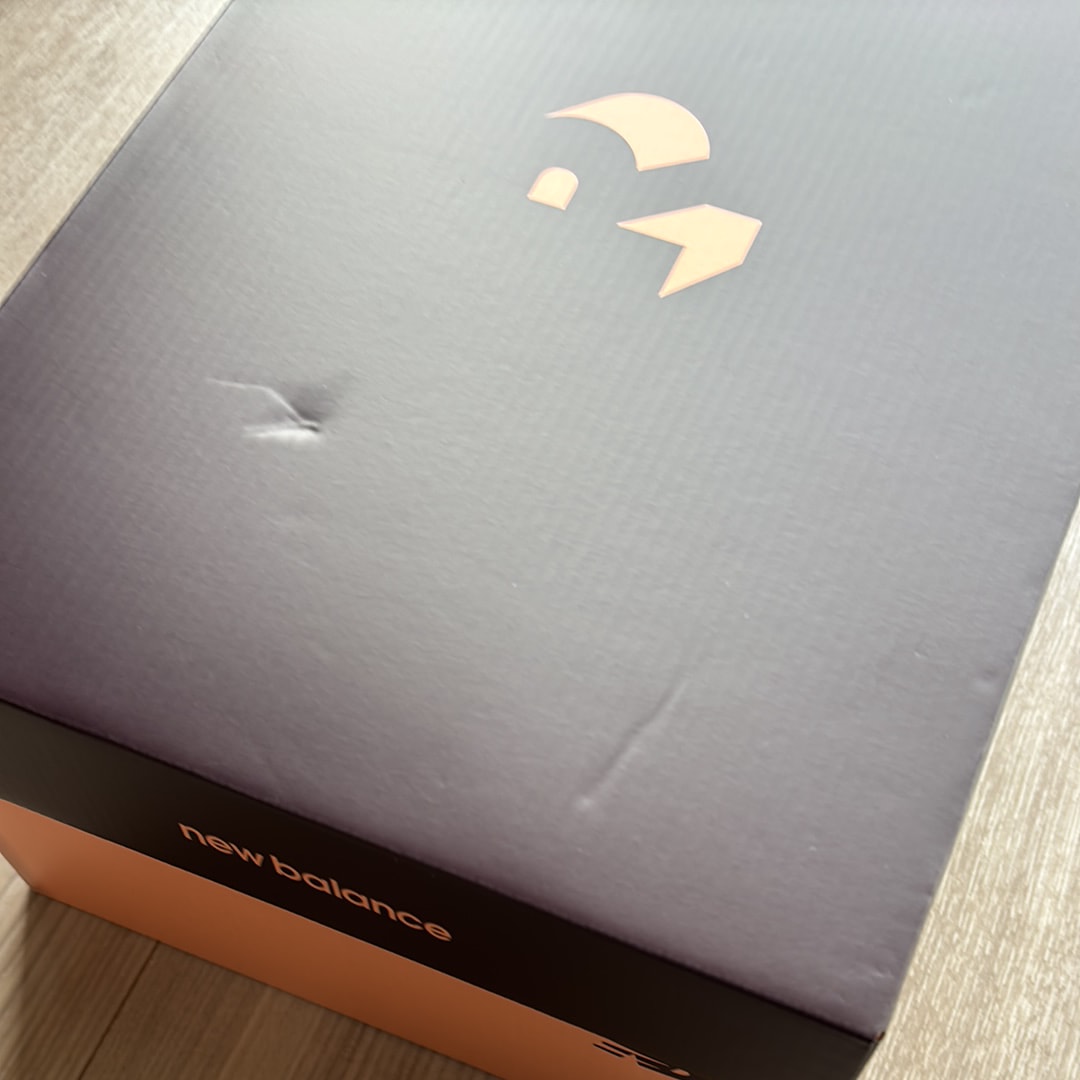 リッチ・ポール × ニューバランス アブゾーブ 2010 "プラムブラウン/NBバーガンディ"