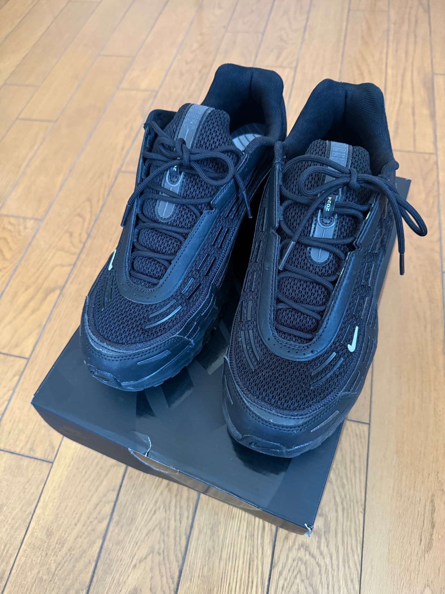 COMME des GARCONS HOMME PLUS × Nike Air Max TL 2.5 "Black"