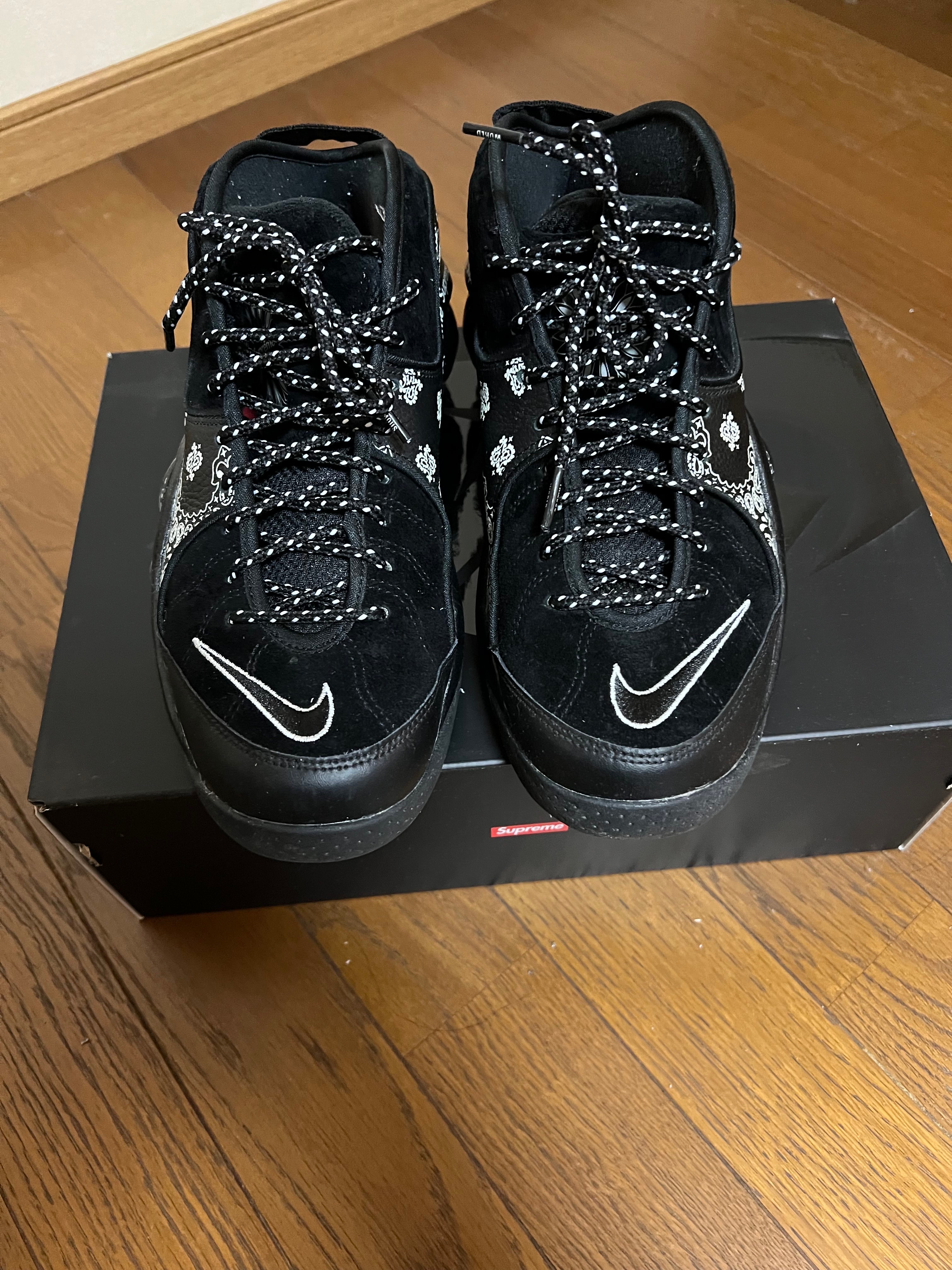 シュプリーム × ナイキ エアズームフライト95 SP "ブラック/ホワイト"