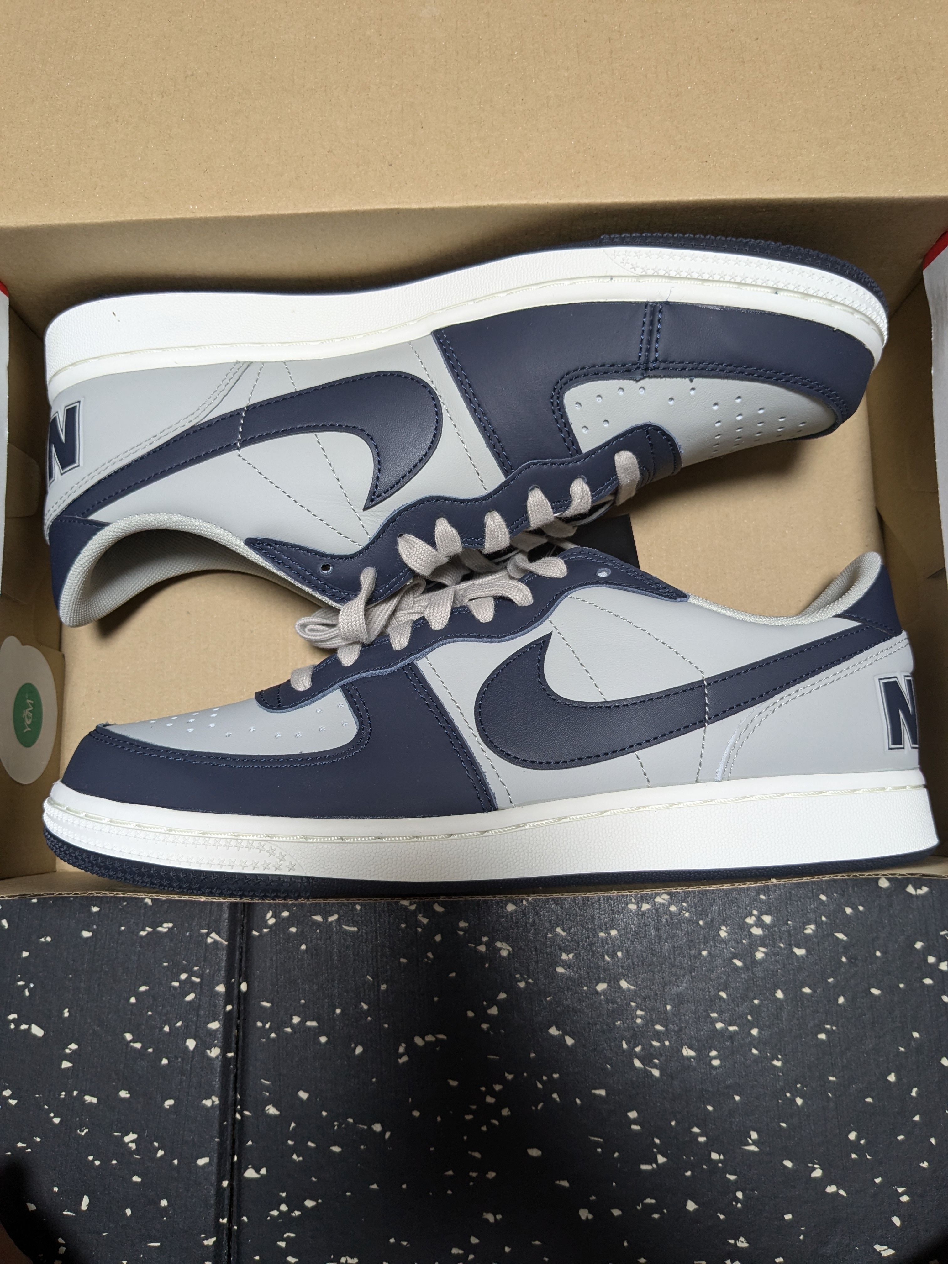 Nike Terminator Low "Dark Obsidian and Granite/Georgetown"(2023)