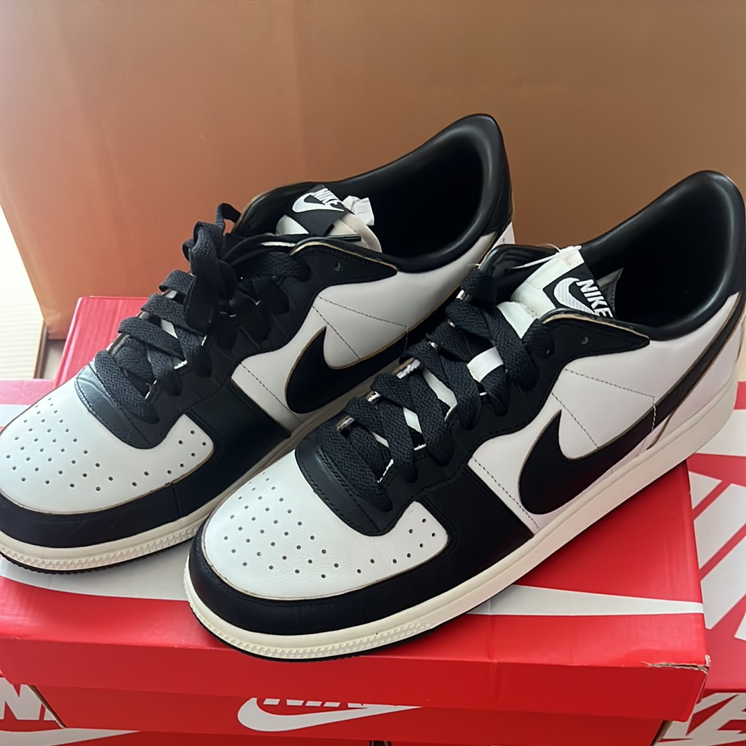 Nike Terminator Low PRM "Phantom and Black"