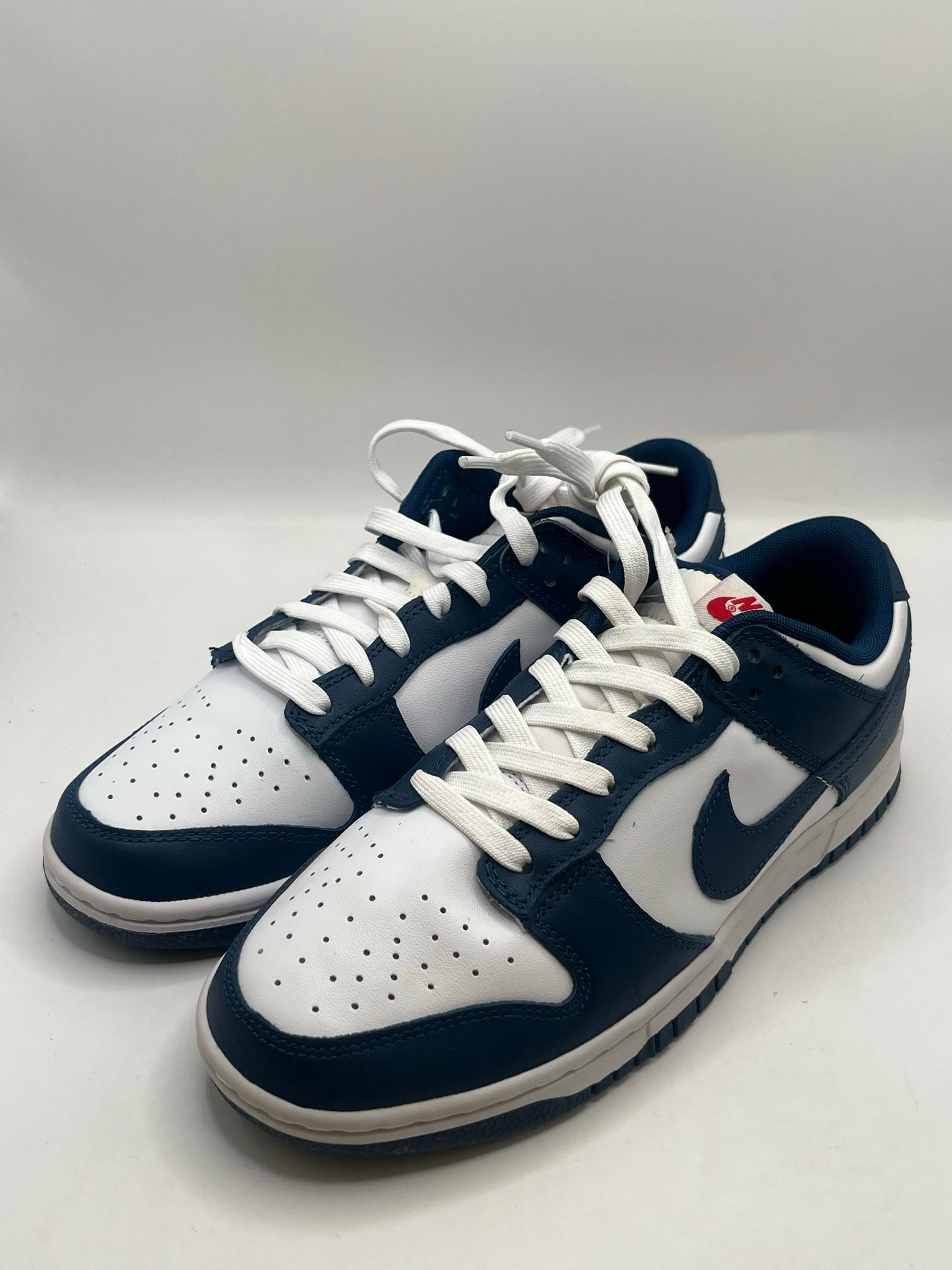 Nike Dunk Low "Valerian Blue"