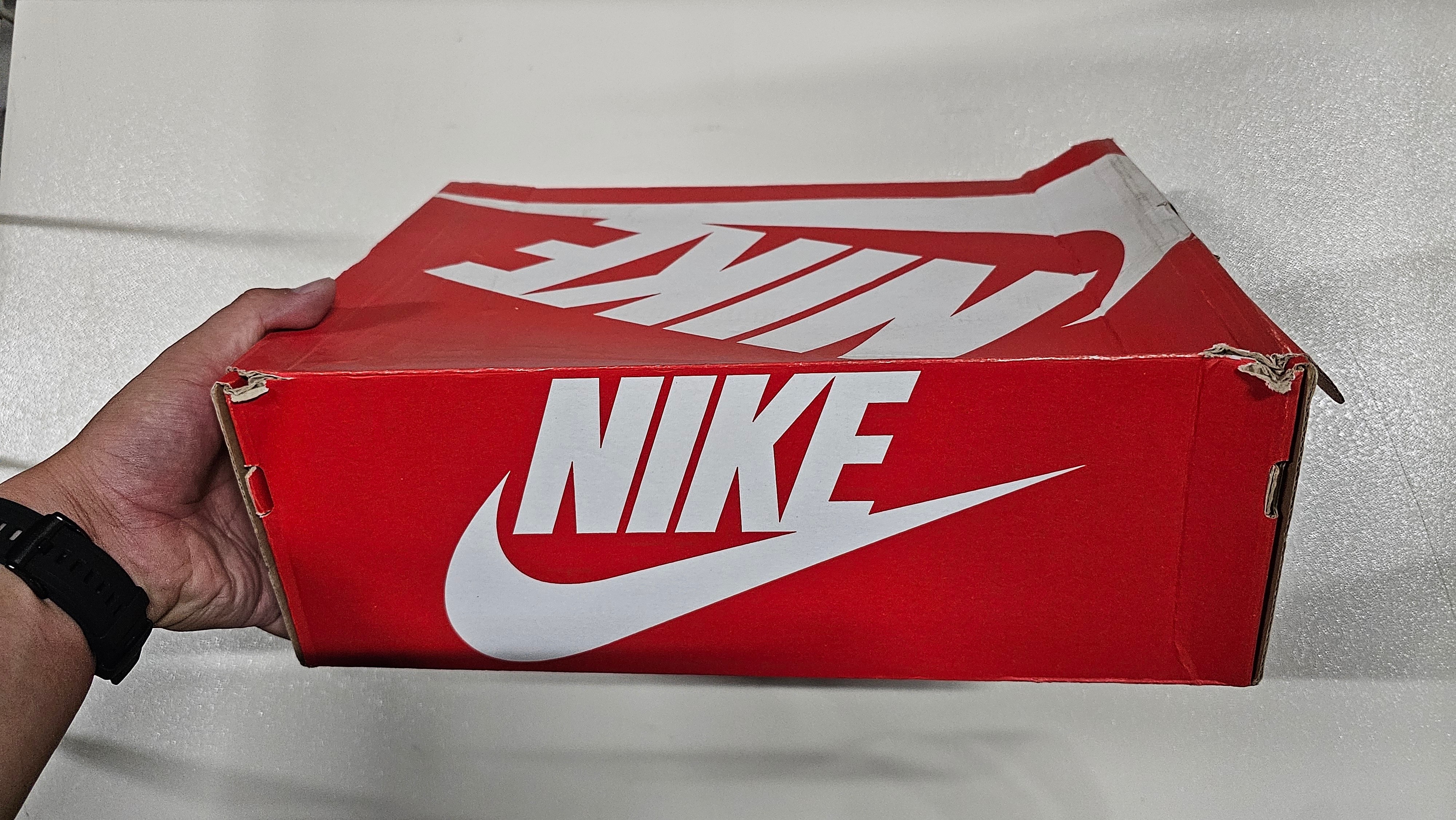 ナイキ ウィメンズ ダンク ロー ESS "ホワイトペイズリー" 