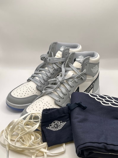 Dior × Nike Air Jordan 1 High OG "Wolf Grey"