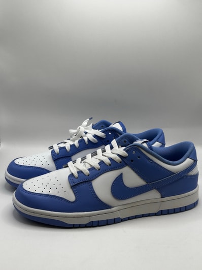 Nike Dunk Low Retro BTTYS "Polar Blue"