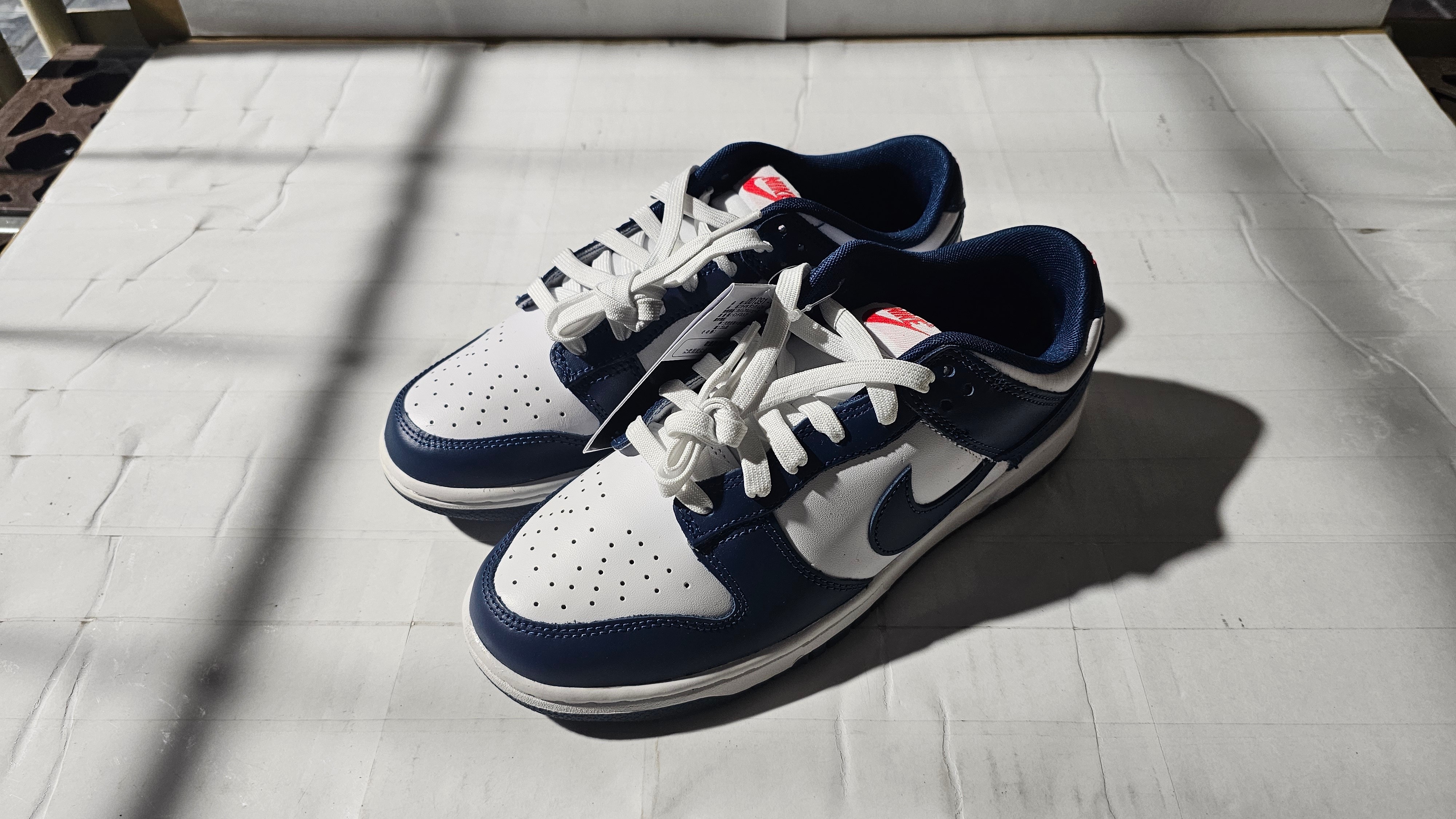 ナイキ ダンク ロー "バレリアンブルー"