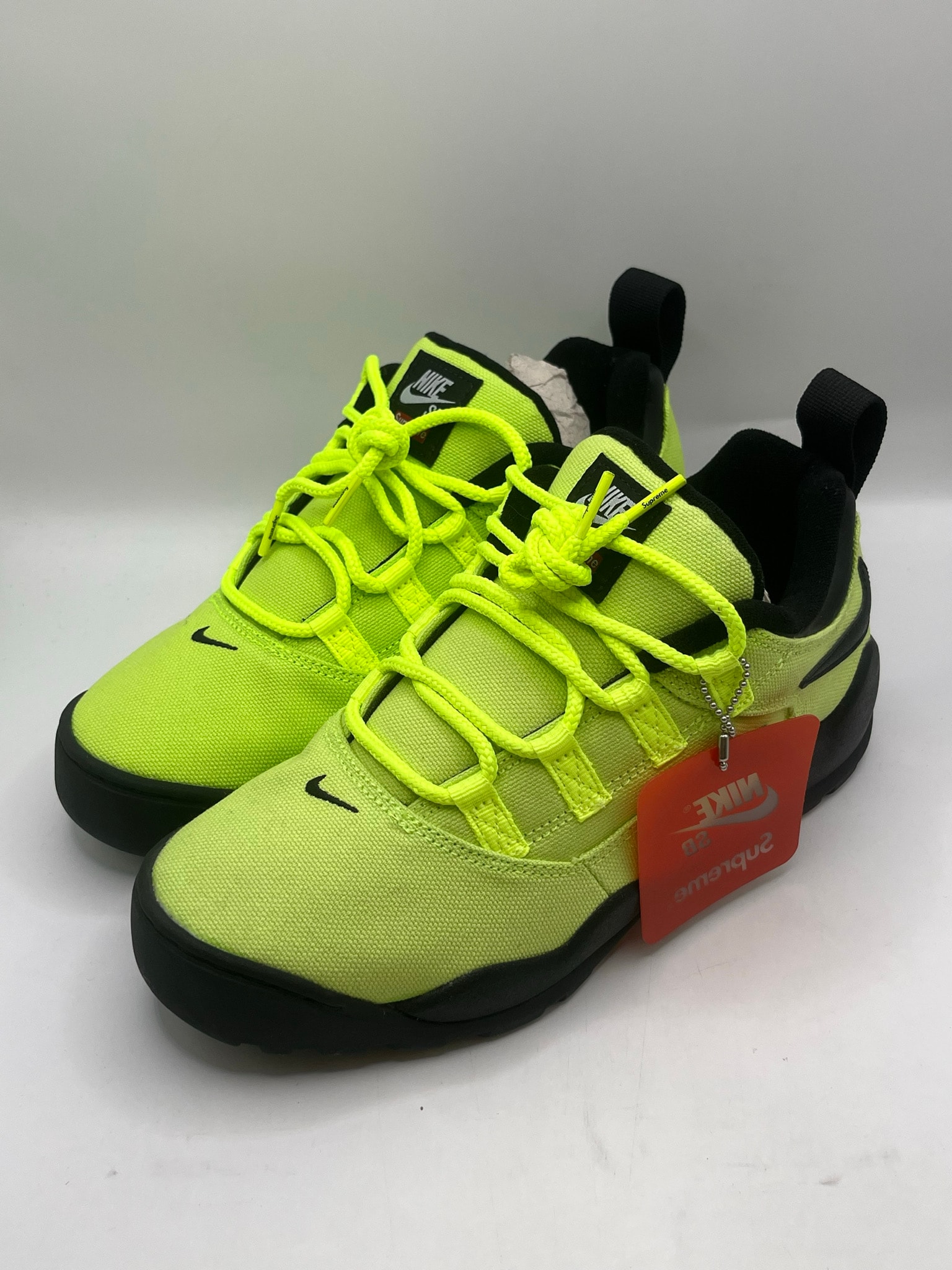 Supreme × Nike SB Darwin Low "Green"