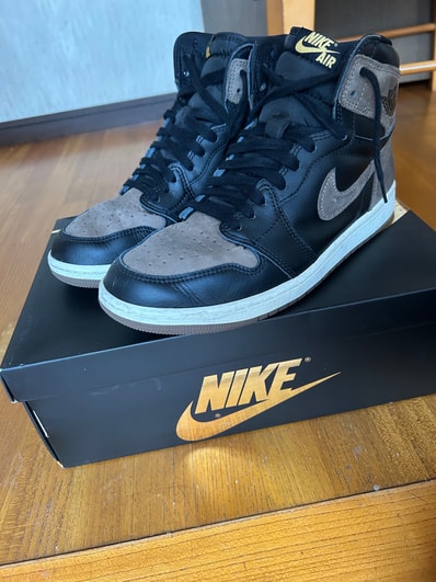 Nike Air Jordan 1 Retro High OG "Palomino"