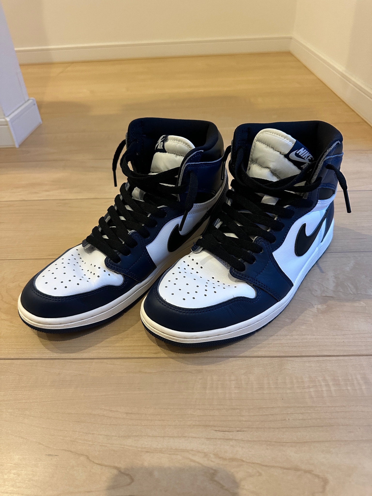 Nike Air Jordan 1 Retro High OG 