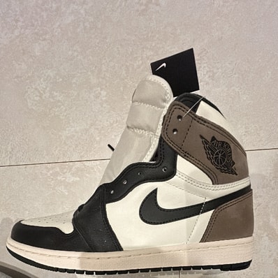 Nike Air Jordan 1 High OG "Sail/Dark Mocha/Black"