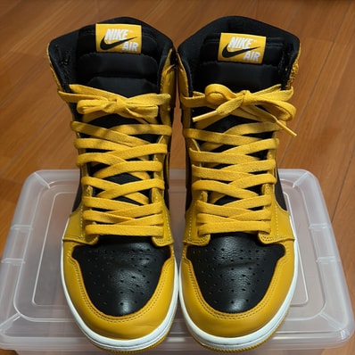 Nike Air Jordan 1 High OG "Pollen"