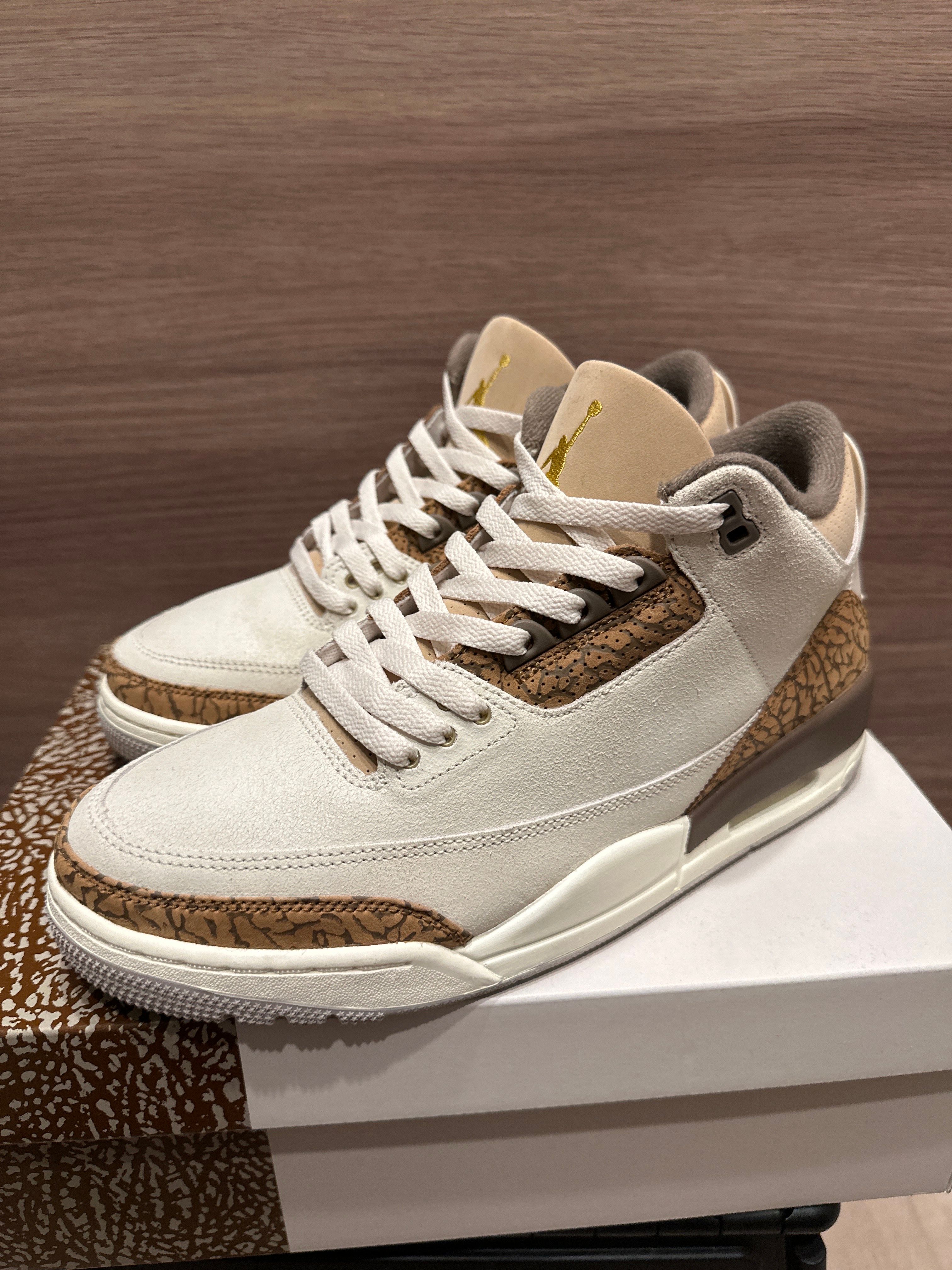 Nike Air Jordan 3 Retro "Orewood Brown"