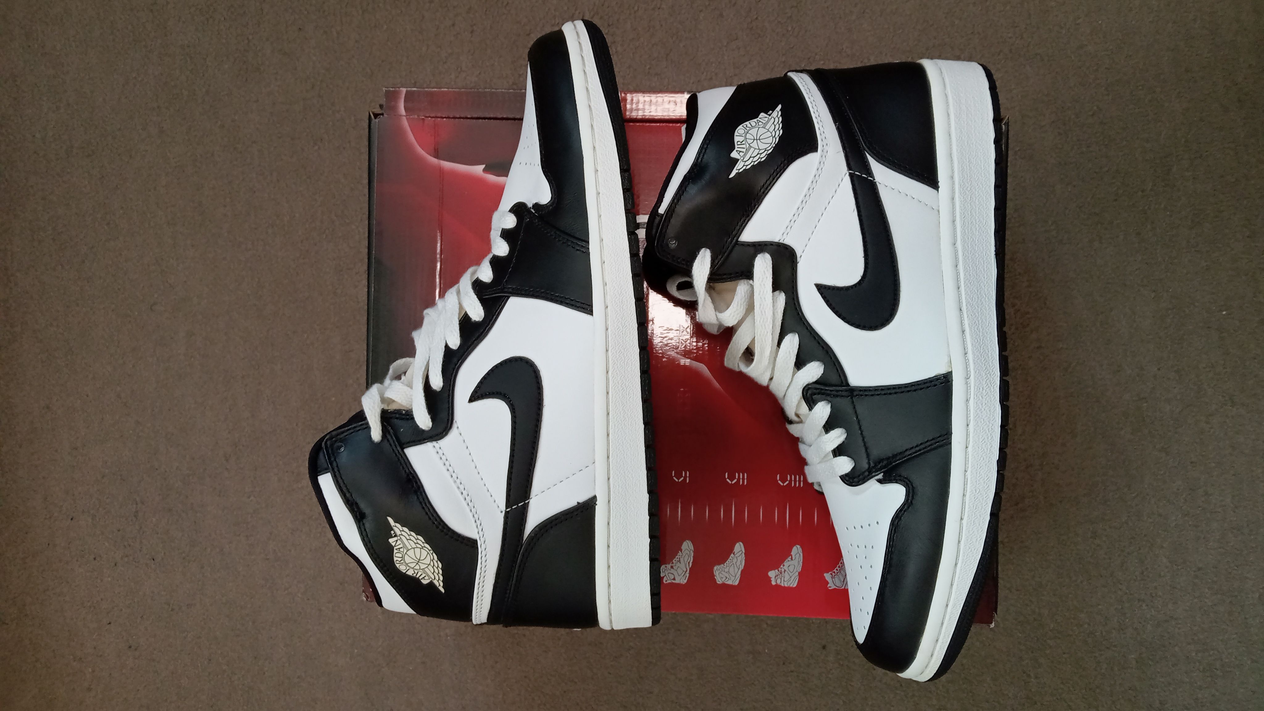 Nike Air Jordan 1 Retro "CDP" (2008)