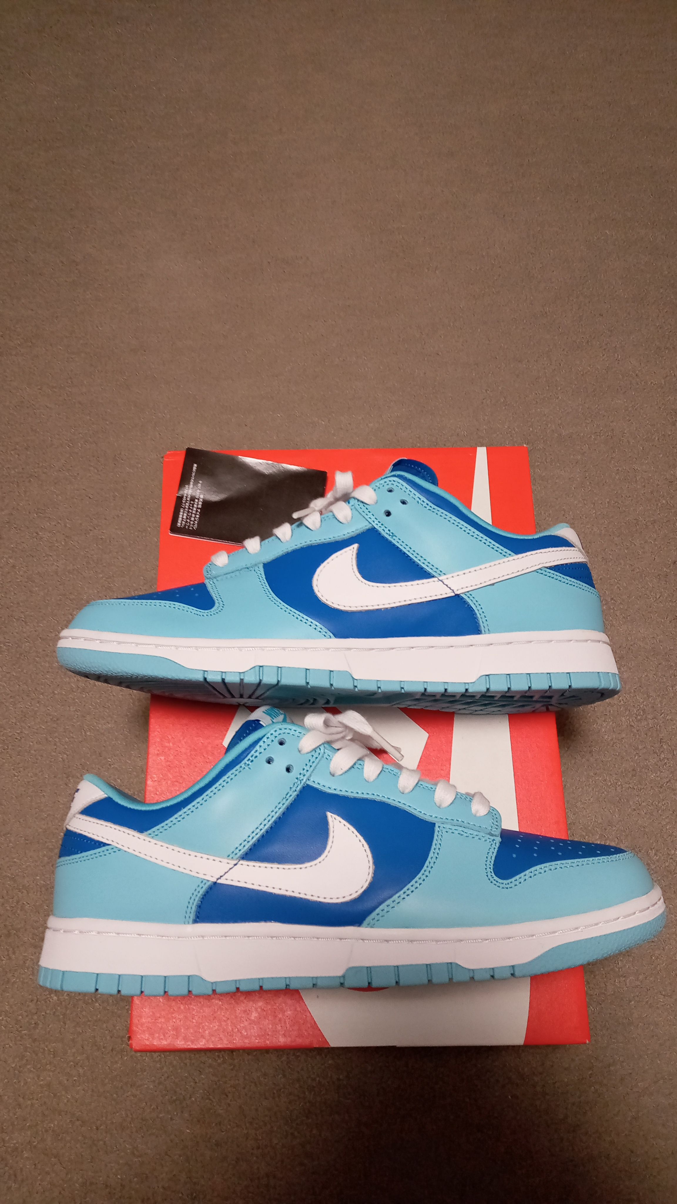 Nike Dunk Low Retro QS "Argon" (2022)
