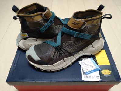 Reebok Kinetica II Edge GORE-TEX Shoes "Dark Brown"