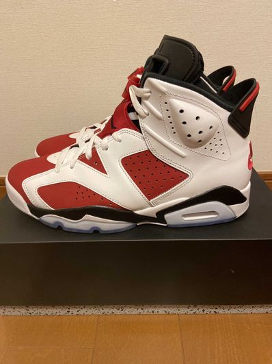 Nike Air Jordan 6 "Carmine" (2021)