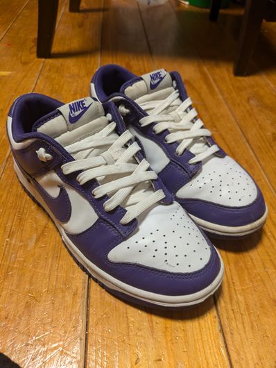Nike Dunk Low Retro "Championship Court Purple"