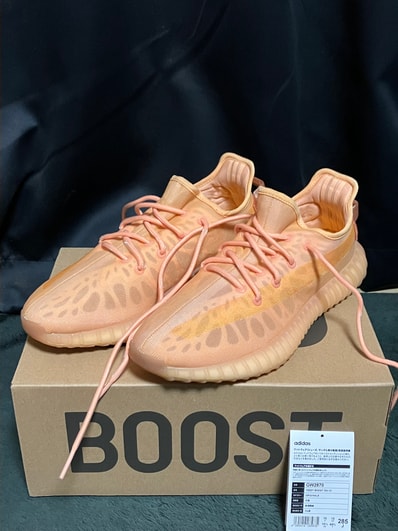 adidas YEEZY Boost 350 V2 "Mono Clay"