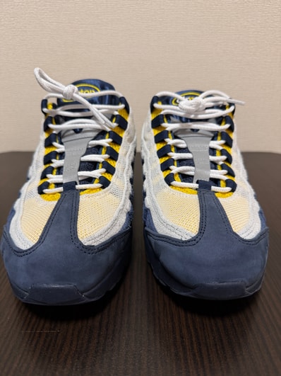 Eric Koston × Nike SB Air Max 95 "Obsidian and Speed Yellow"