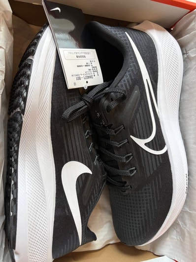 Nike Air Zoom Pegasus 39 "Black/Dark Smoke Gray/White"