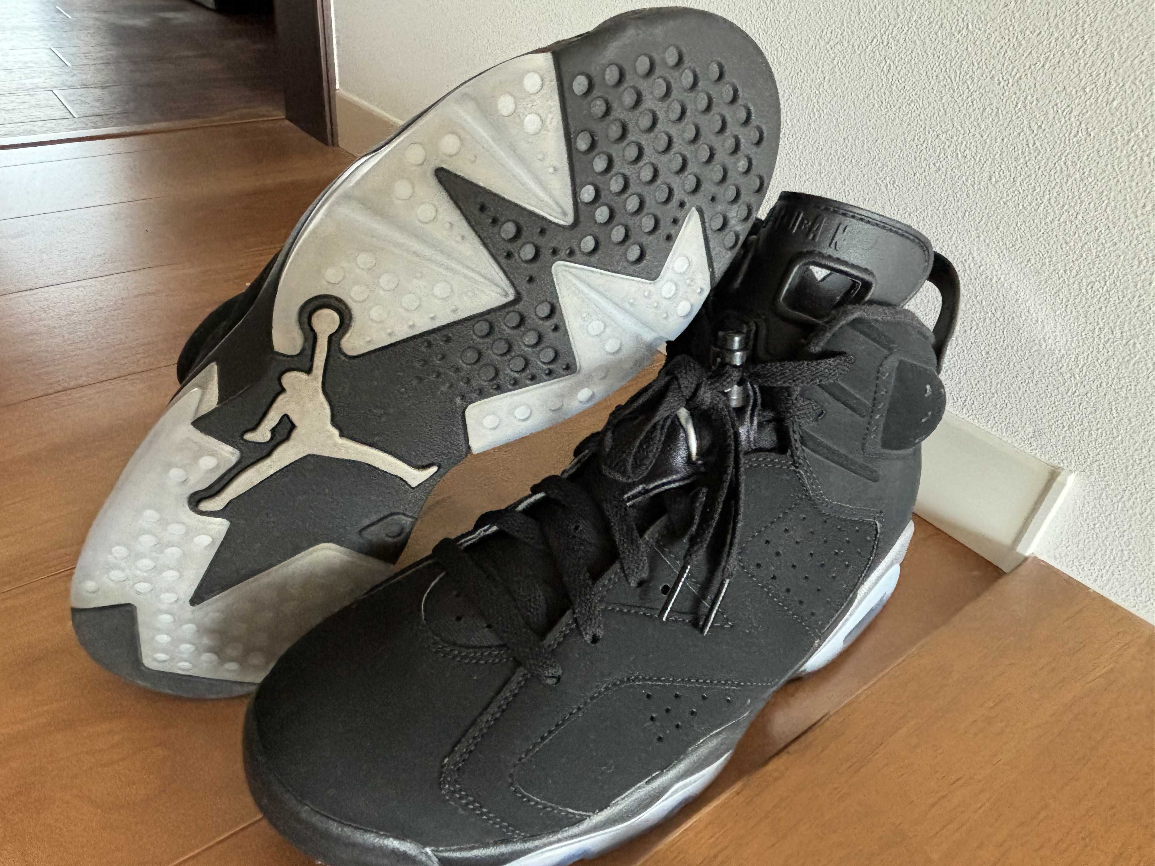 Nike Air Jordan 6 Retro "Metallic Silver"