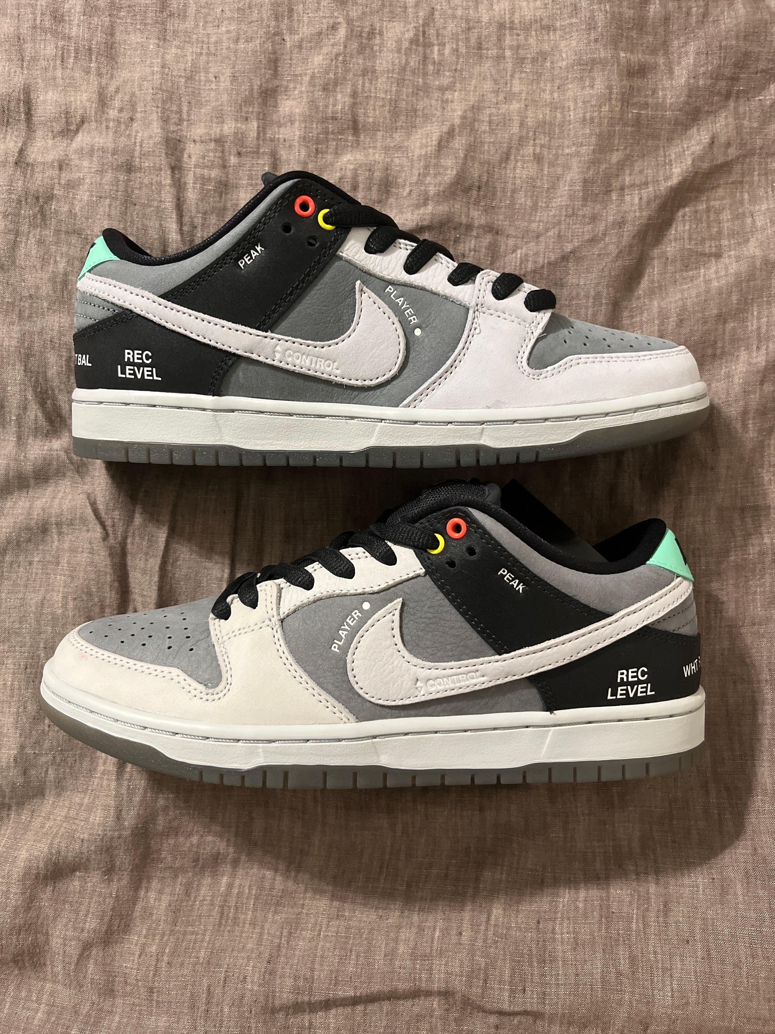 Nike SB Dunk Low Pro "VX1000 Camcorder"