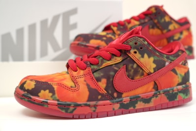 The Wizard of Oz × Nike SB Dunk Low "Poppy Field"