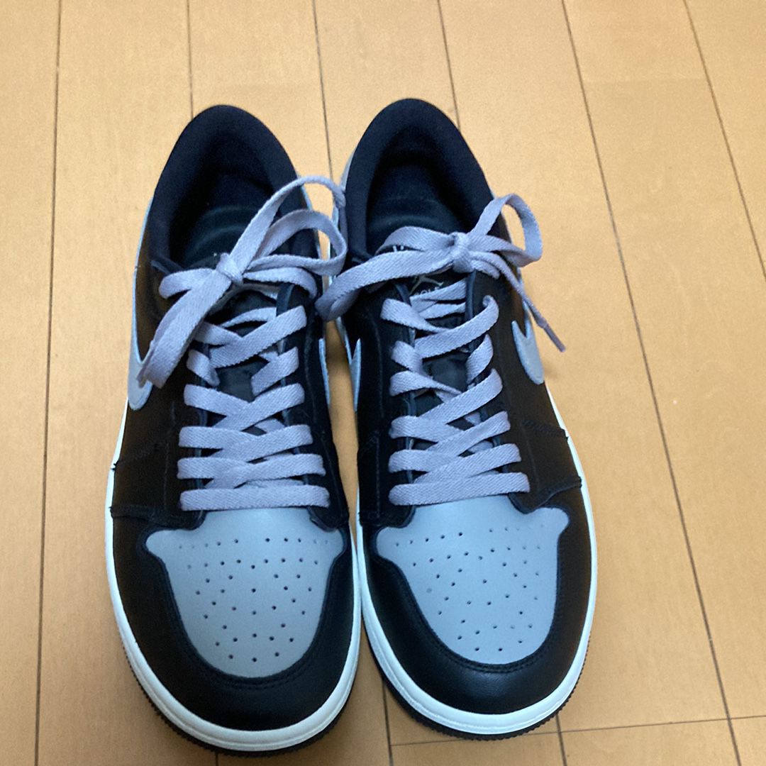 Nike Air Jordan 1 Low Golf "Shadow"