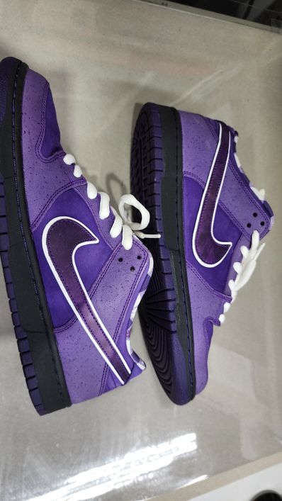 Concepts × Nike SB Dunk Low "Purple Lobster"
