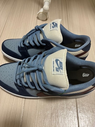 Nike SB Dunk Low "FTC Finally"
