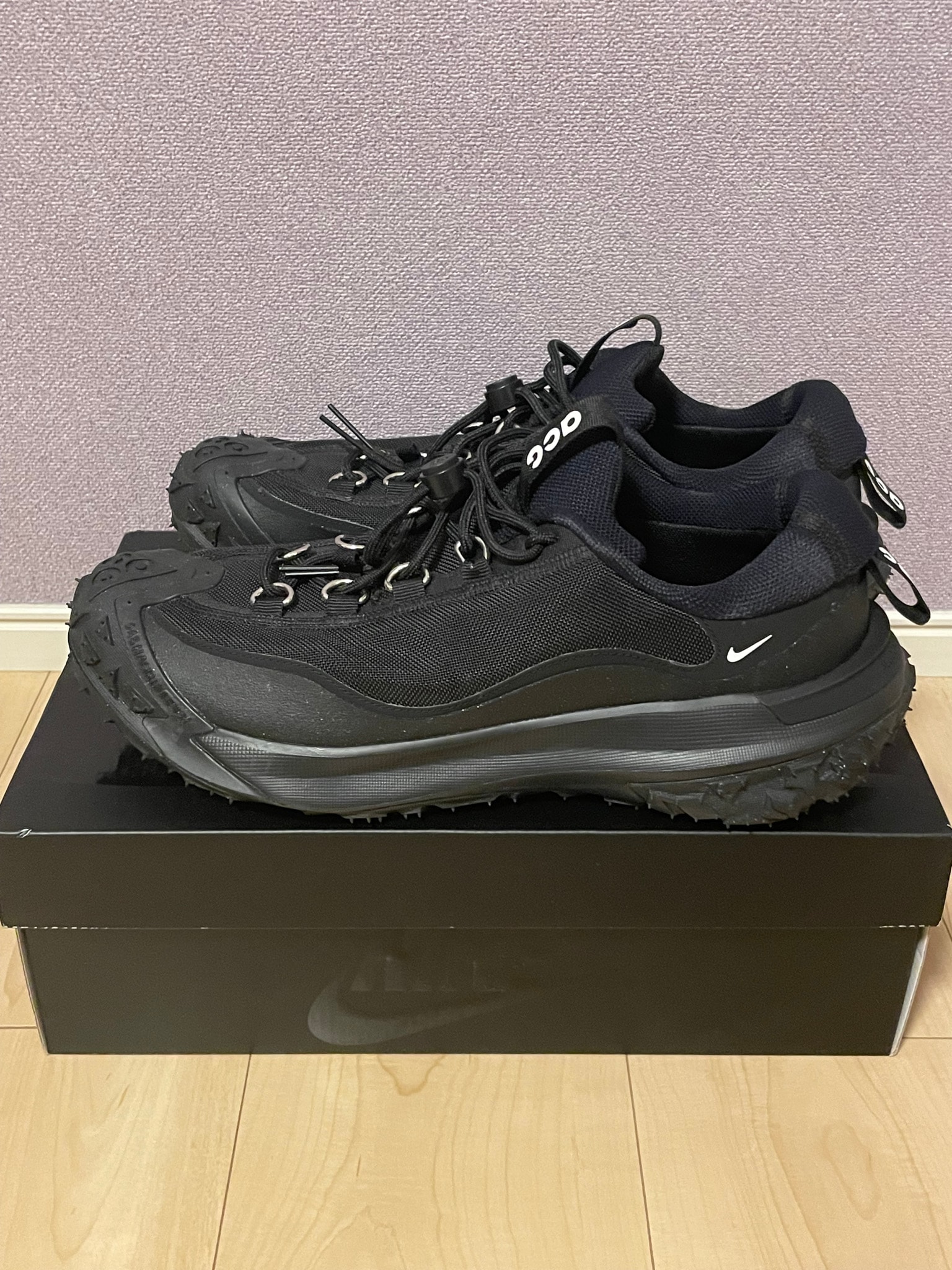 COMME des GARCONS HOMME PLUS × Nike ACG Mountain Fly 2 Low "Black"